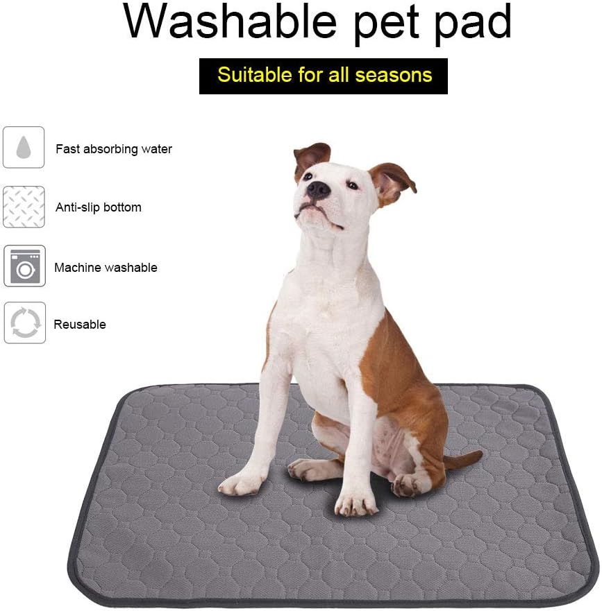 Potty Buddy™ - The Durable Leak-Free Potty Pad