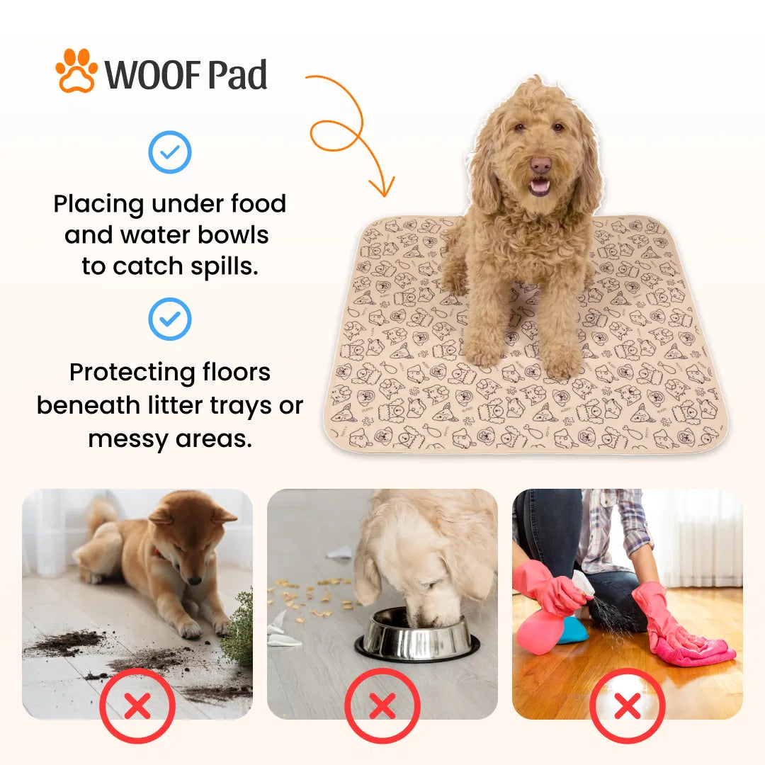 Potty Buddy™ - The Durable Leak-Free Potty Pad