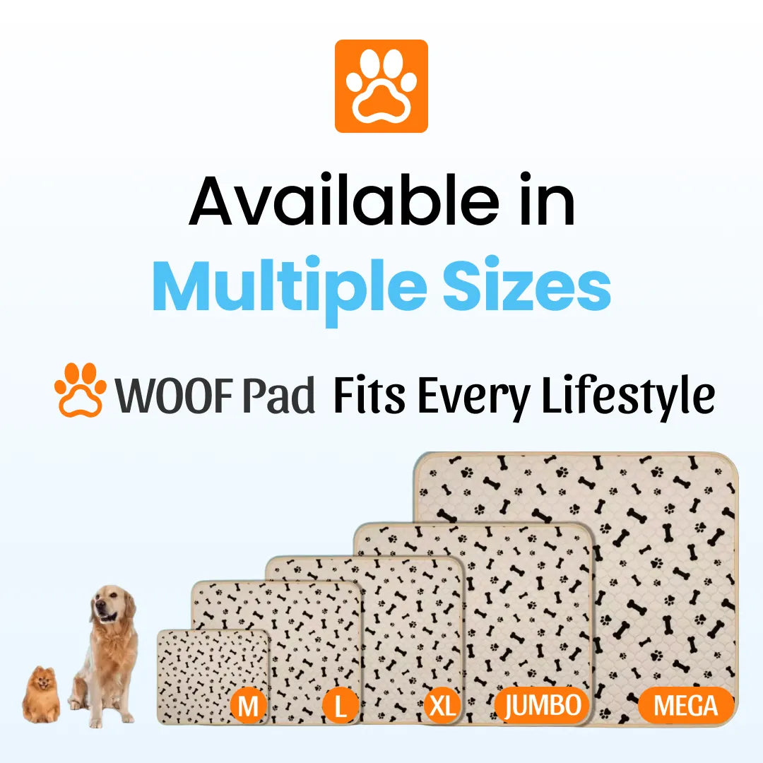 Potty Buddy™ - The Durable Leak-Free Potty Pad