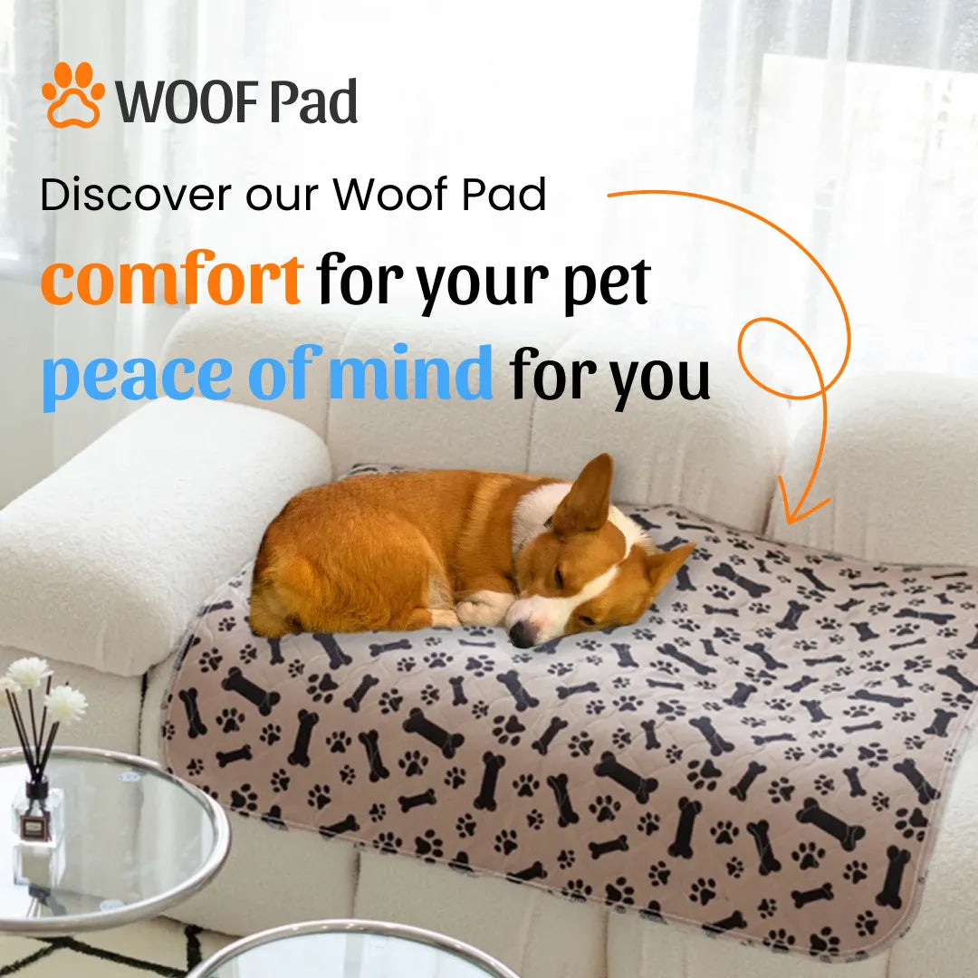 Potty Buddy™ - The Durable Leak-Free Potty Pad