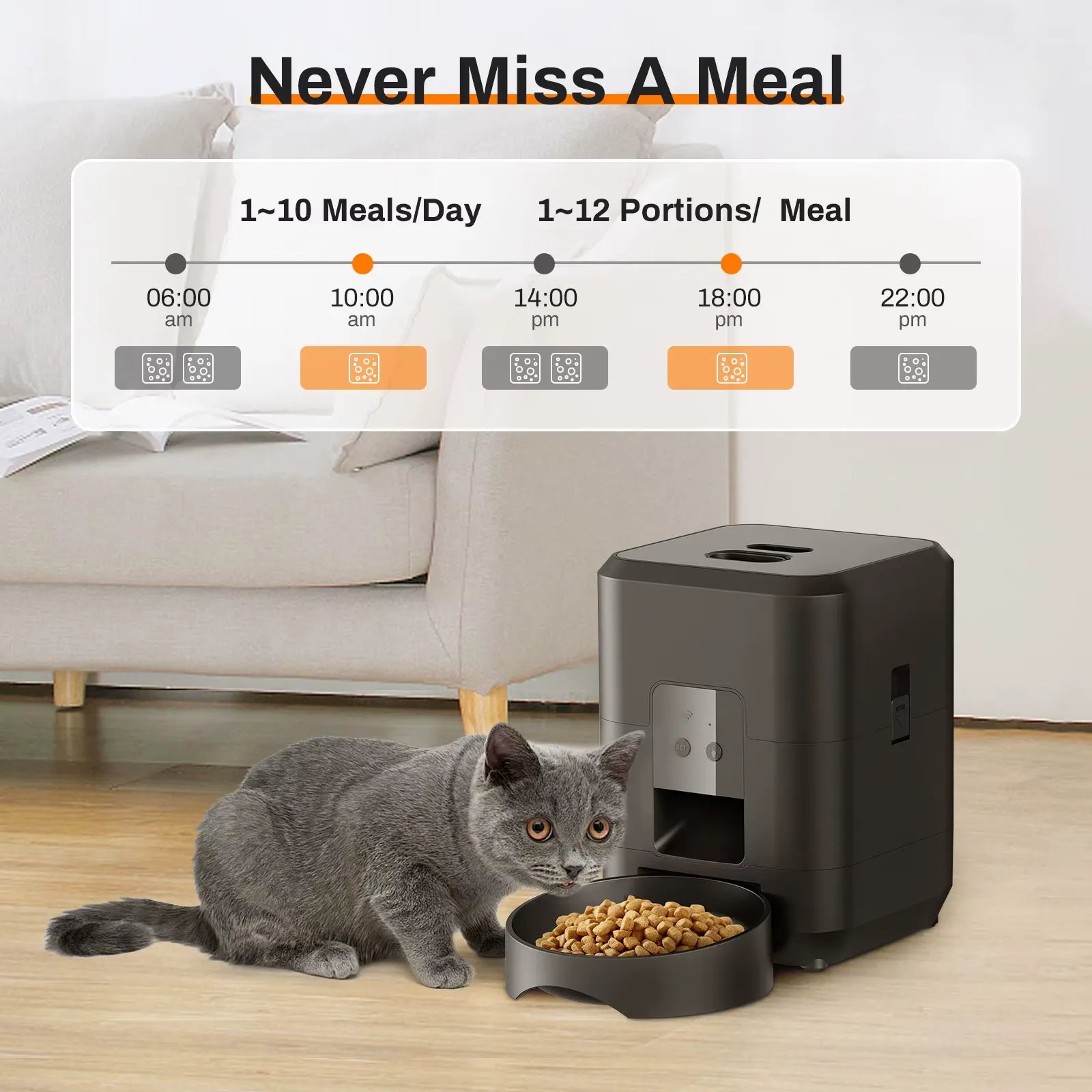 PawTray - Your Pet's New Favorite Feeder, Your New Best Friend